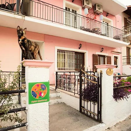 Yiayia's イプソス